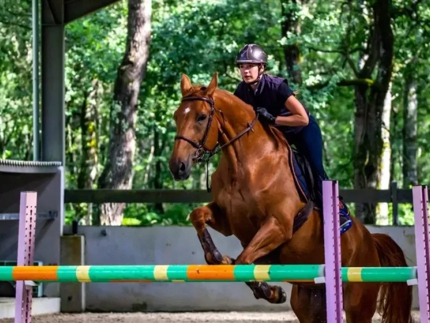 Ruiter- en paardensportverenigingen bij AllUnited